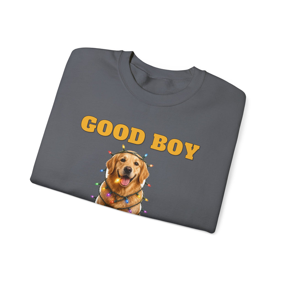 Good Boy, Questionable Choices