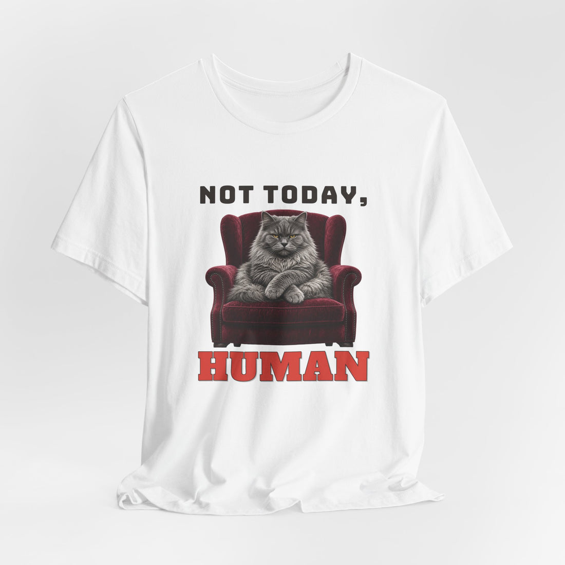 Not Today, Human Tee