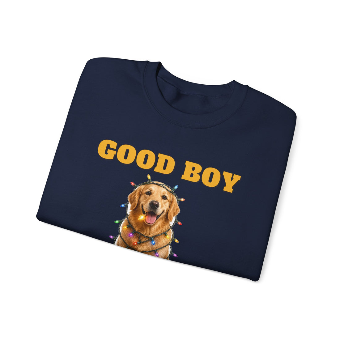 Good Boy, Questionable Choices