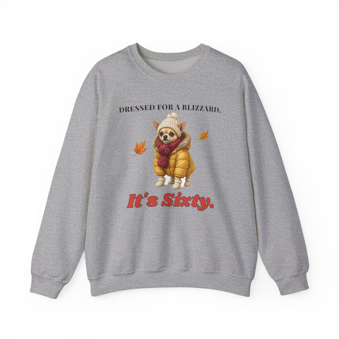 Dressed for a Blizzard. It's Sixty. Chihuahua Sweatshirt