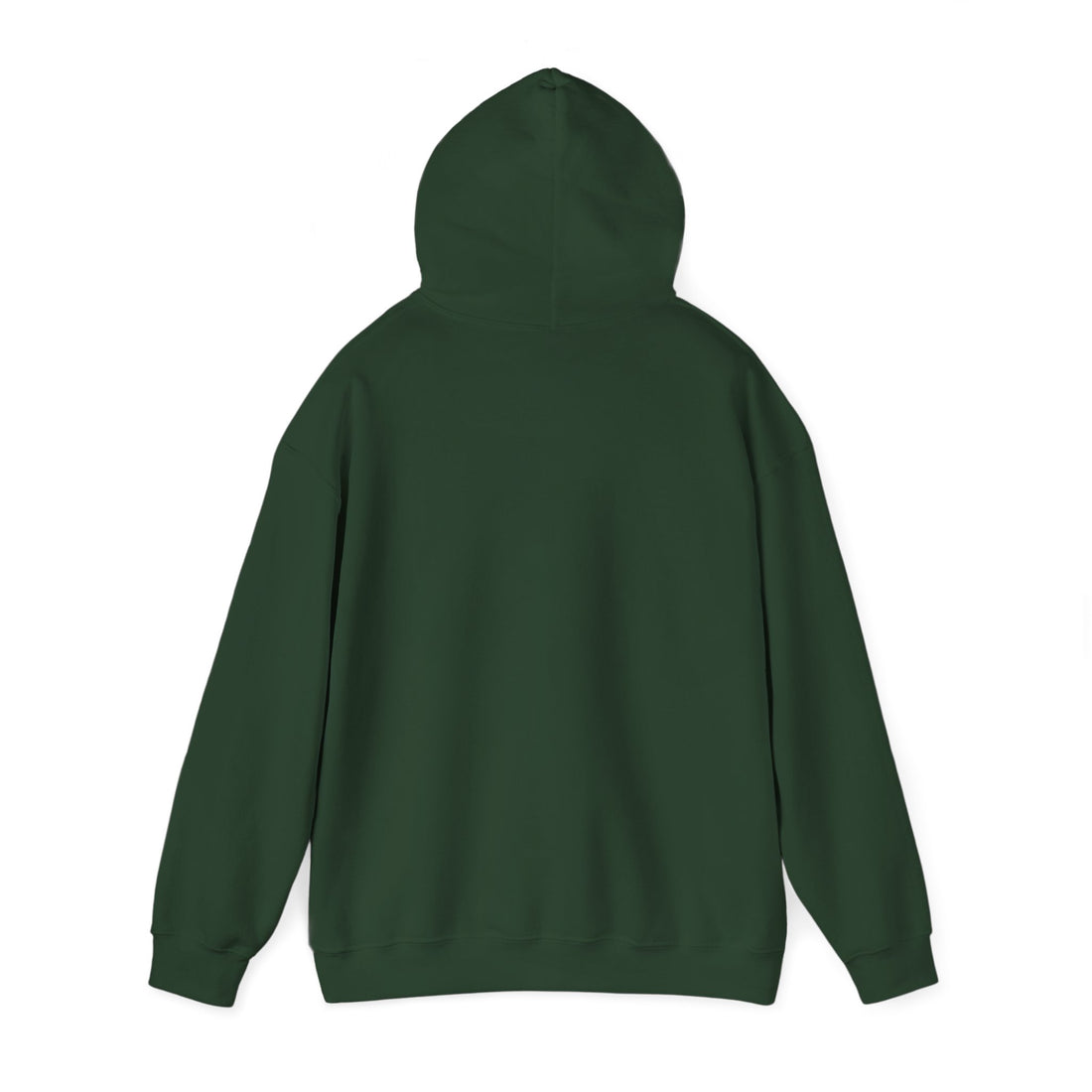 Hibernation Is a Valid Plan Hoodie