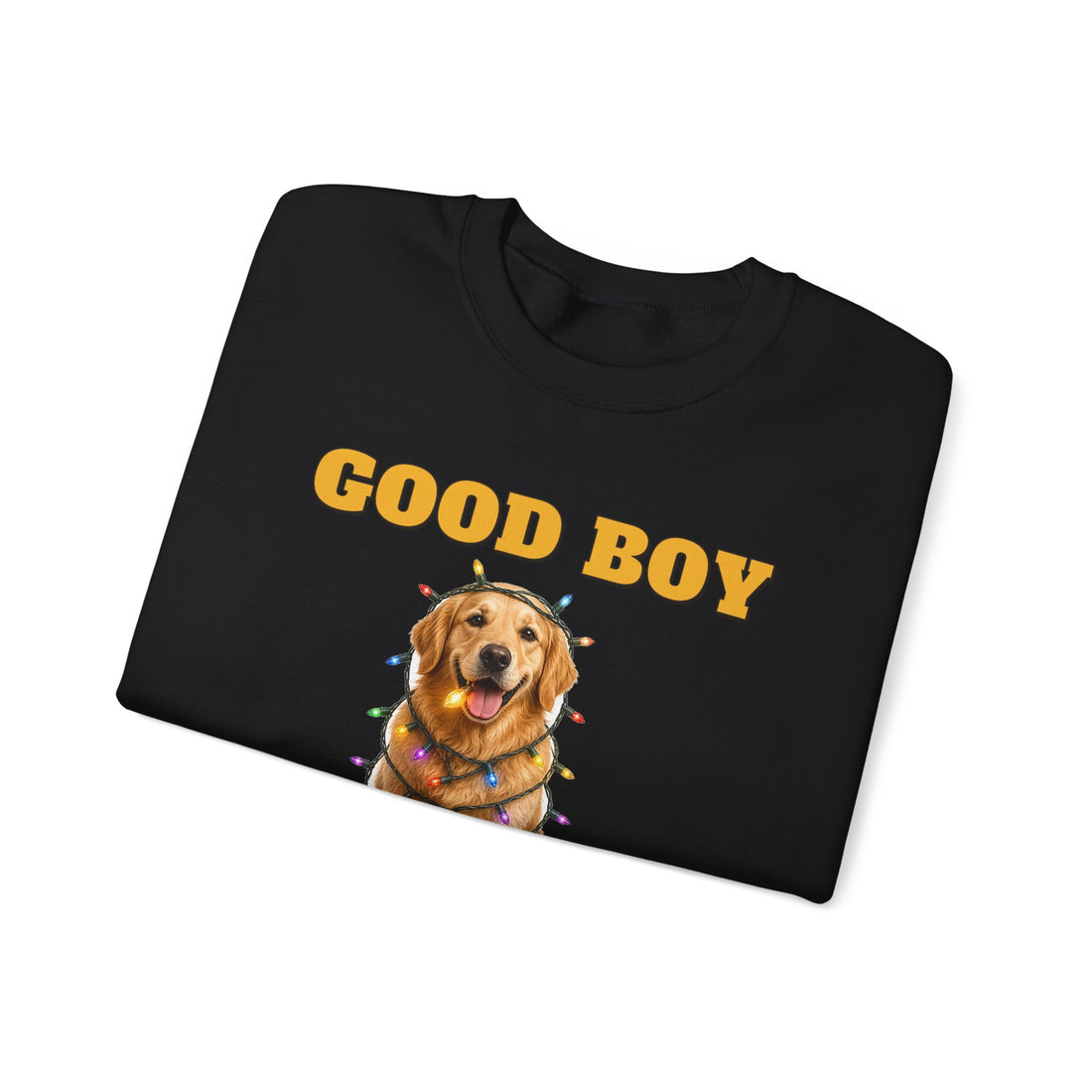 Good Boy, Questionable Choices