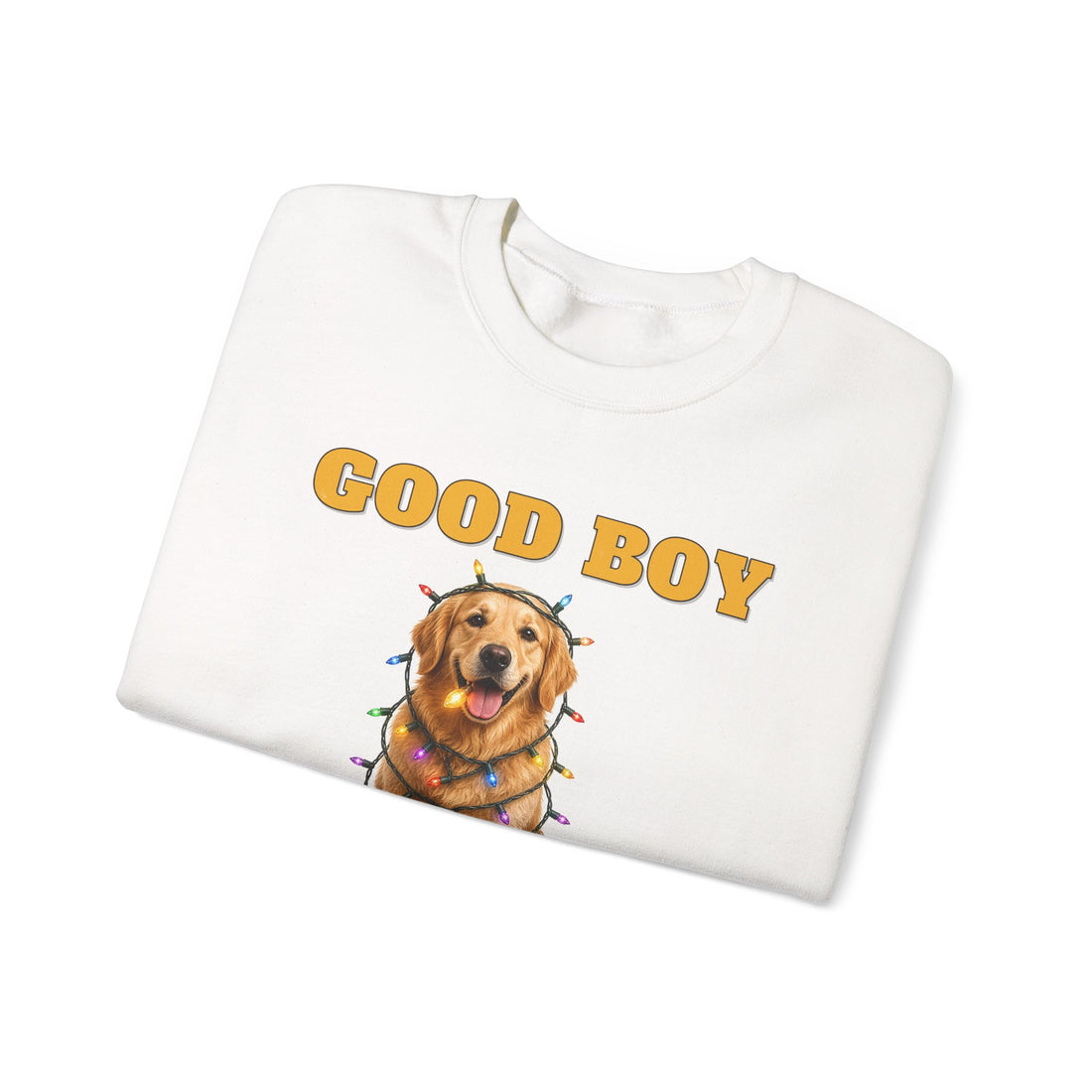Good Boy, Questionable Choices