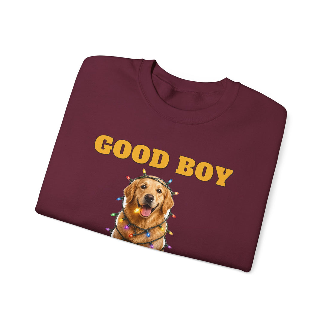 Good Boy, Questionable Choices