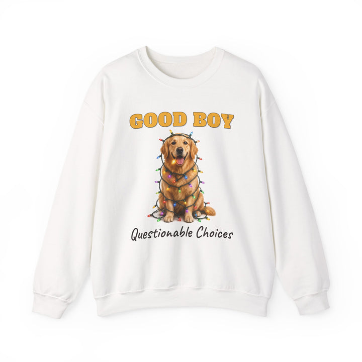 Good Boy, Questionable Choices