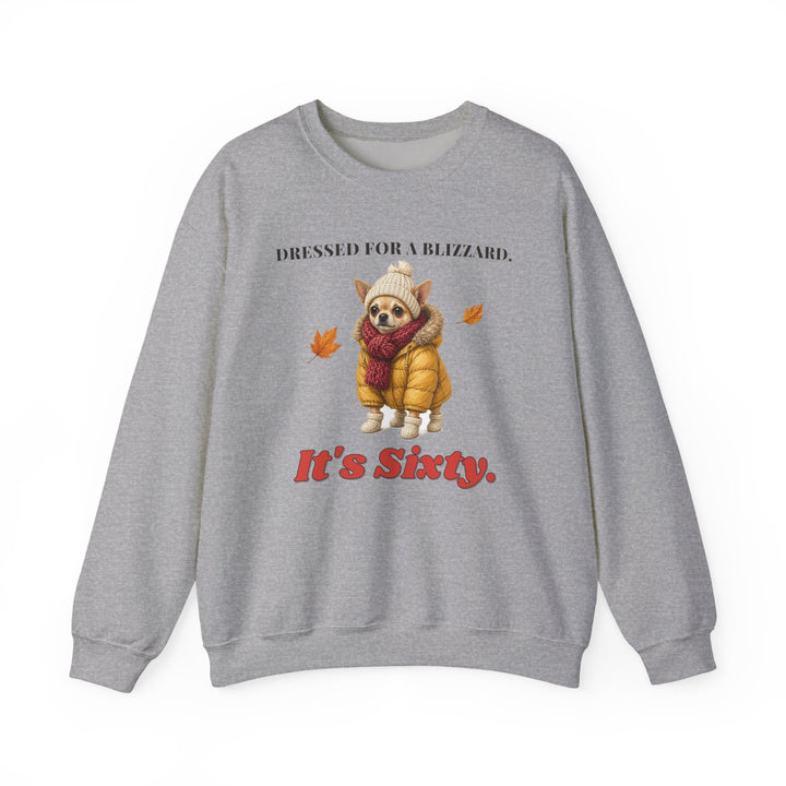 Dressed for a Blizzard. It's Sixty. Chihuahua Sweatshirt