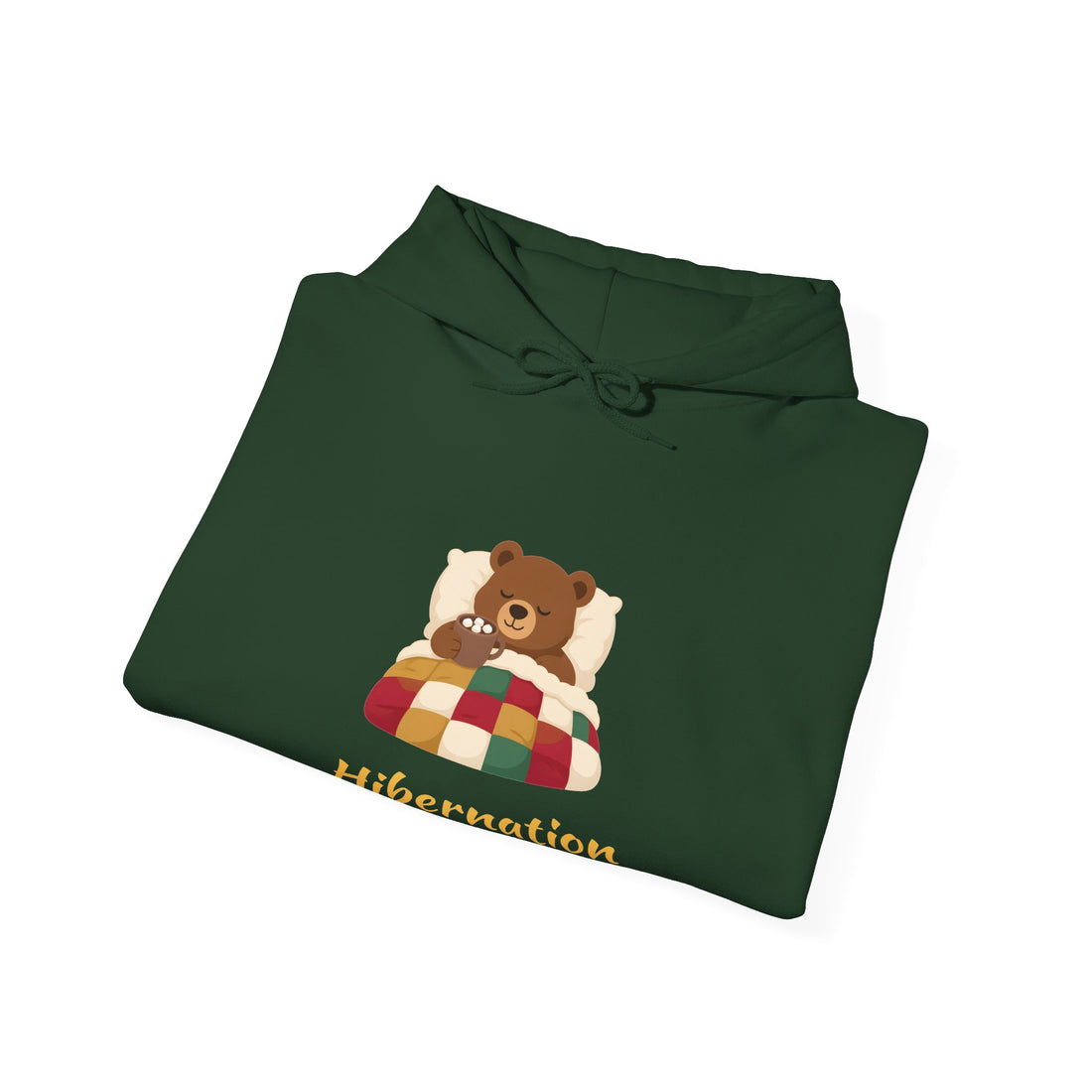Hibernation Is a Valid Plan Hoodie