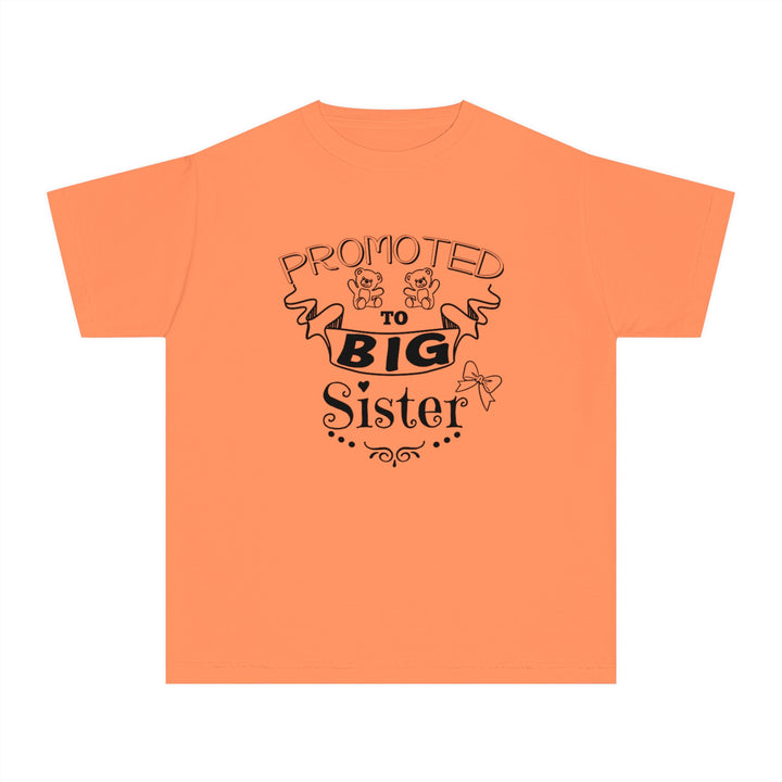 Promoted To Big Sister Youth Midweight Tee