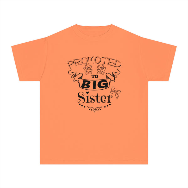 Promoted To Big Sister Youth Midweight Tee