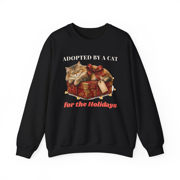 Adopted by a Cat for the Holidays