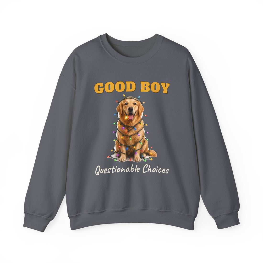 Good Boy, Questionable Choices