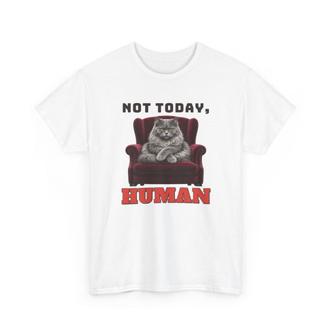 Not Today, Human Plus Size Tee